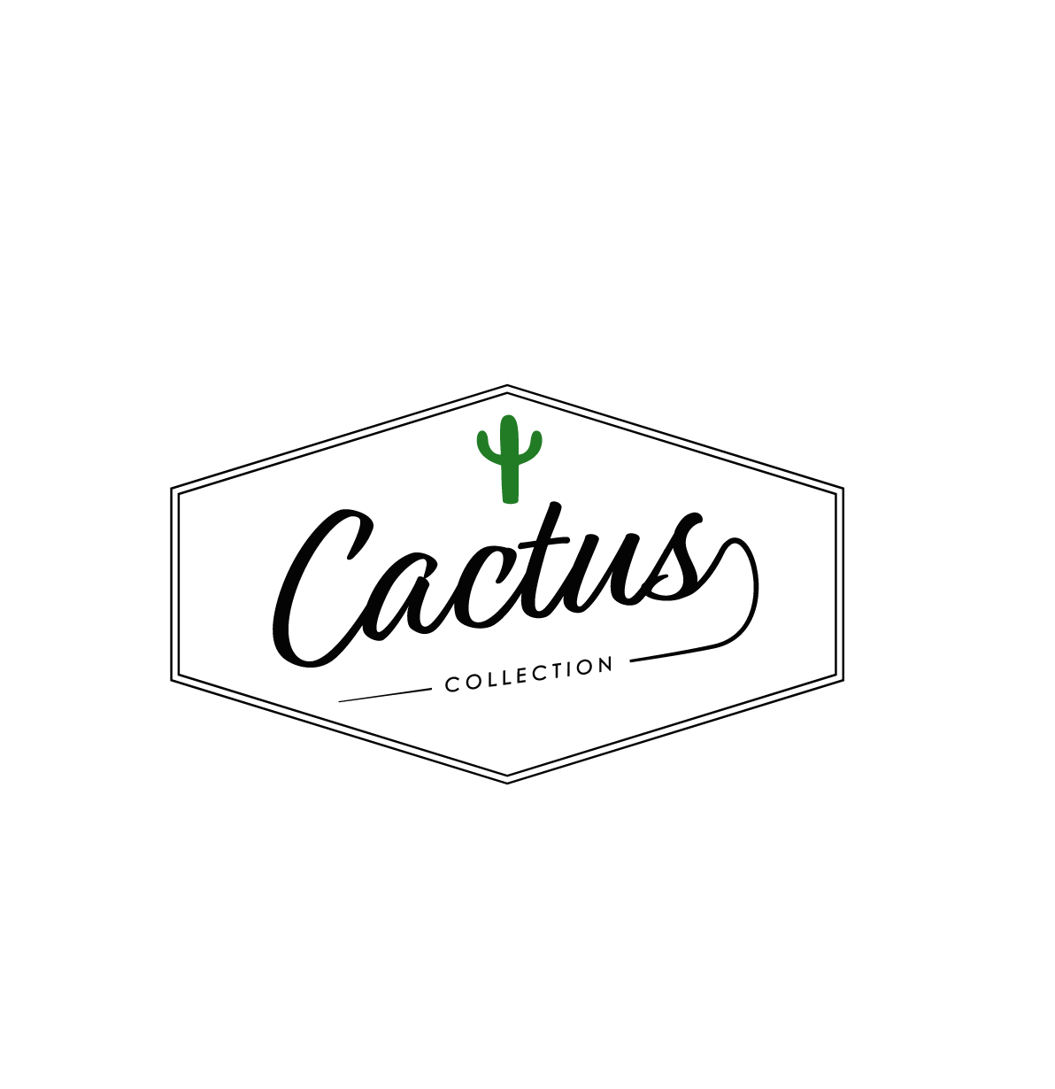 cactus-collection-client-agence-web-marseille-bolectif